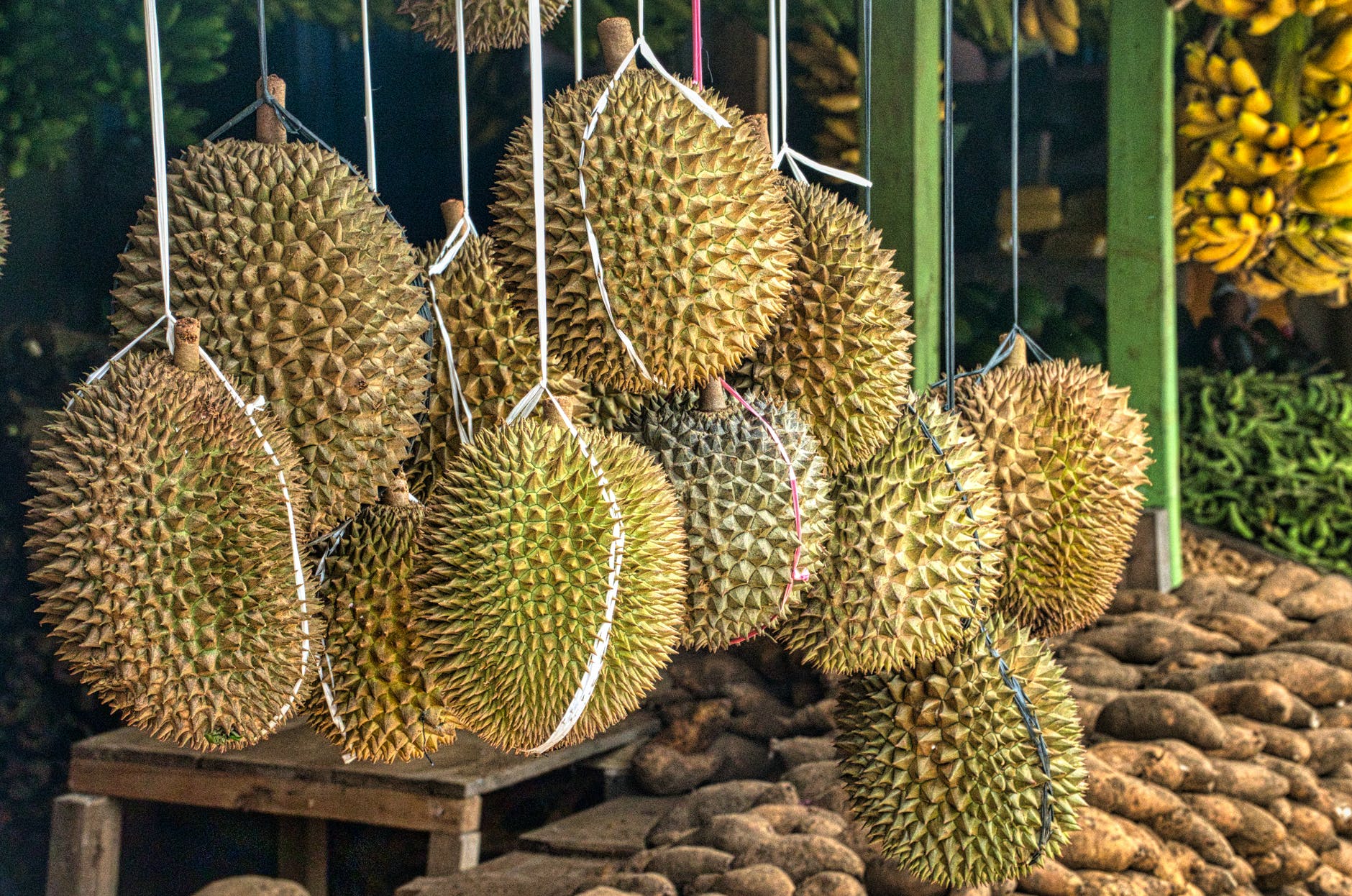 green and brown round fruits